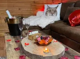 Romantique chalet avec sauna et jacuzzi extérieur