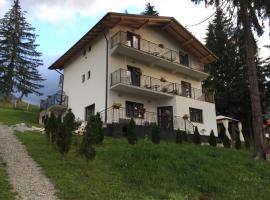 Casa dintre Brazi，位于Statiunea Borsa的滑雪度假村