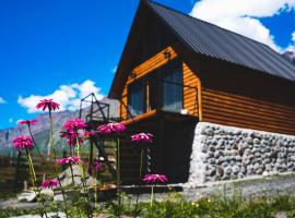 Traveler's Cottages in Kazbegi，位于卡兹贝吉的酒店