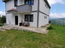 DOGA&HUZUR Tek kat daire