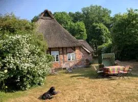 Holiday Home Reethuus by Interhome
