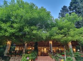 Guesthouse Alberti Llogara，位于Shalë的酒店