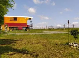 Véritable roulotte hippomobile "LA BAILLEUL"
