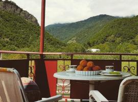 Guest house Racha，位于Gari的酒店