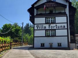 Villa Fortuna，位于杜什尼基-兹德鲁伊的酒店