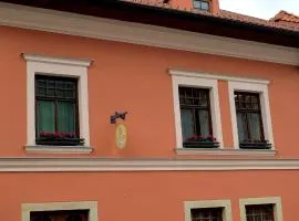 雅努斯邻近旅馆