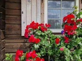 Anykščiai MĖNULIO AKMUO