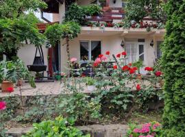 Casa Jan Bonca，位于Lorău的酒店