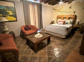 安娜卡特琳娜酒店和套房，位于圣米格尔-德阿连德的酒店