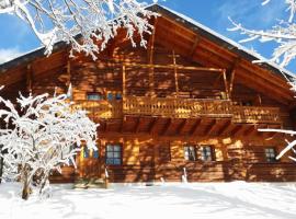 Appartement - dans le chalet Carmazin，位于莫尔金斯的酒店