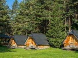 Eco Camp Chalets pod Gorom，位于扎布利亚克的山林小屋