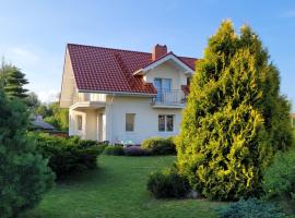 拉克斯小木屋别墅，位于德鲁斯基宁凯的木屋