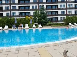 Аспен валей С420