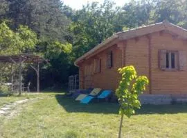 Un chalet en bois dans un écrin de verdure