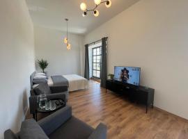 Apartment YELLOW ROSE, Perfect Location with Free Parking, 24h Checkin & Balcony，位于皮耶什佳尼的酒店