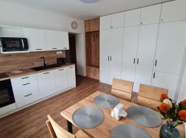 Horský apartmán Karlovice，位于Karlovice的酒店