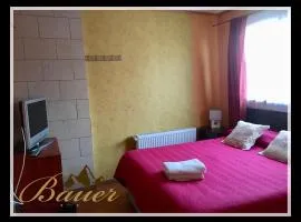 Hostal y turismo Bauer