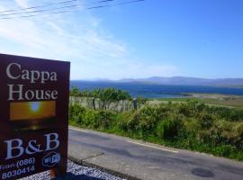 Cappa House B&B，位于Eyeries的住宿加早餐旅馆