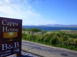 Cappa House B&B，位于Eyeries的酒店