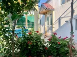 Баку приморский поселок Бузовна