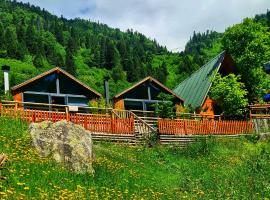 Yayla Bungalov，位于艾德亚耶拉西的木屋