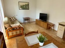 Przestronny apartament w centrum miasta - Mszana M11