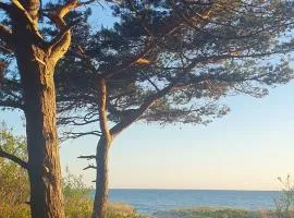 Prie Jūros Papėje, Baltija