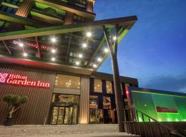 Hilton Garden Inn Yalova，位于亚洛瓦的带泳池的酒店