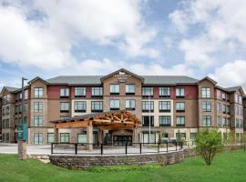 Homewood Suites By Hilton Steamboat Springs，位于斯廷博特斯普林斯扬帕河植物园附近的酒店