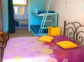Gites et Chambres La colo du gave