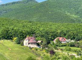 The Mountain Cottage - Hegyi kuckó，位于Bükkzsérc的度假短租房