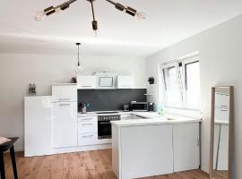 2 ZKB Apartment in Mannheim Küche - Parken - Großer TV，位于曼海姆的酒店