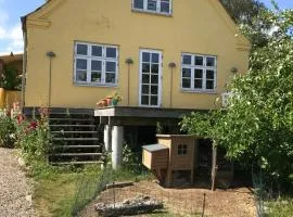 Solfryd i Ollerup