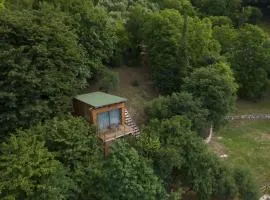 Tree House San Giorgio