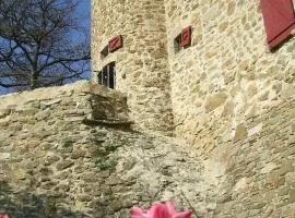 Gîte Donjon