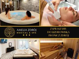 Amelia Zdroj Medical & Spa，位于伊沃尼奇-兹德鲁伊的酒店