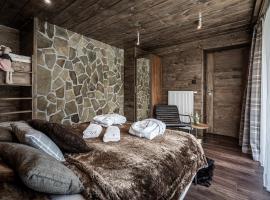 Luxury Chalet Na Stromym Wzgórzu z sauną i balią，位于什切尔克的木屋
