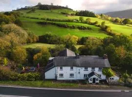 Dinas Castle Inn (The Dragons Back)