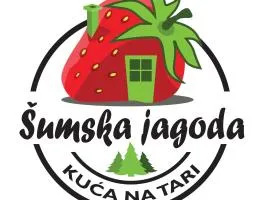 Šumska jagoda