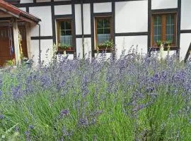 Gandelinka Park Kędrzyno