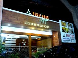 Pine Tree Signature，位于钦奈钦奈南的酒店