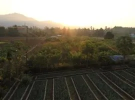 Forest Side Farm - Homestay at Kotabagh Near Nainital and Jim Corbett