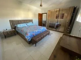 Traditional Moroccan House