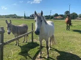 gite l'etoile de mer