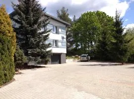 森林边缘别墅民宿