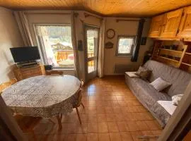 Studio à La Chapelle-d'Abondance proche centre et domaine skiable, Multi Pass été à 3€/jour/personne - FR-1-692-85