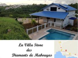 Villa Stone pour 8 personnes, piscine chauffée, accès PMR, 5 étoiles，位于圣吕斯的酒店