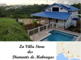 Villa Stone pour 8 personnes, piscine chauffée, accès PMR, 5 étoiles