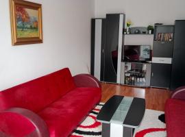Apartman Dragana，位于皮罗特的酒店