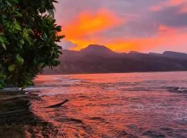 TAHITI - Motu Nono Beach View